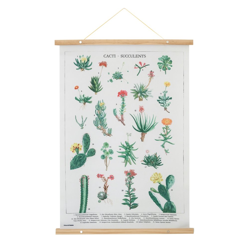 Grupo Erik - Botanical Cacti Wooden Kakemono - Multicolore